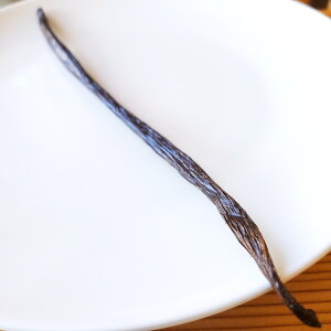 ojr[Y 1{ XJYy1000~|bLz