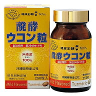 醗酵ウコン粒（250粒）2本セット 500粒【送料無料】【産地直送】熱帯資源植物研究所