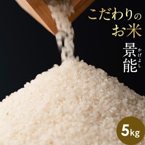 V ߘa7NY ̕ i\i悵j5LyȐāz_ƒ 