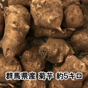 e  5L _ Y yt  5kg LNC QnY