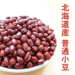 ߘa6NY kCY ʏ 500gy [ցz