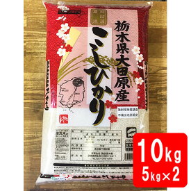 新米 令和5年産 栃木県大田原産コシヒカリ 10kg（5kg×2袋） ギフト 化粧箱入り（お中元 お歳暮 快気祝い お返し 結婚内祝い 出産祝い 出産内祝い 新築祝い 香典返し）【すわげんの省洗米】