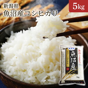 V ߘa7NY V YRVqJ 5kg 1 Mtg ϔi Ε Cj Ԃ j oYj oYj Vzj TԂjy킰̏Ȑāz