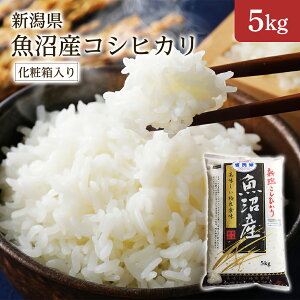 V ߘa7NY V YRVqJ 5kg 1 Mtg ϔi Ε Cj Ԃ j oYj oYj Vzj TԂjy킰̏Ȑāz