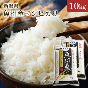 V ߘa7NY V YRVqJ 10kgi5kg×2܁j1 Mtg ϔi Ε Cj Ԃ j oYj oYj Vzj TԂjy킰̏