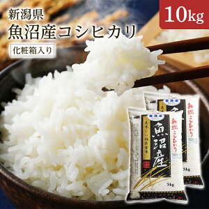 V ߘa7NY V YRVqJ 10kgi5kg×2܁j1 Mtg ϔi Ε Cj Ԃ j oYj oYj Vzj TԂjy킰̏