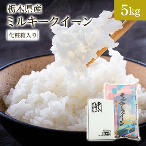 V ߘa7NY Ȗ،Y~L[NC[ 5kg Mtg ϔi Ε Cj Ԃ j oYj oYj Vzj TԂjyA~[Xāzy킰̏