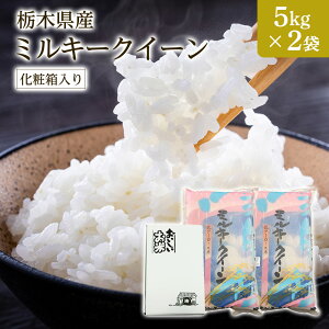 V ߘa7NY Ȗ،Y~L[NC[ 10kgi5kg×2܁j Mtg ϔi Ε Cj Ԃ j oYj oYj Vzj TԂjyA~[Xāzy