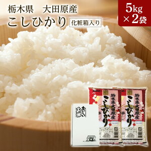 V ߘa7NY Ȗ،cYRVqJ 10kgi5kg×2܁j Mtg ϔi Ε Cj Ԃ j oYj oYj Vzj TԂjy킰̏Ȑāz