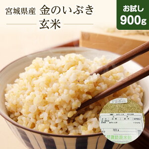 V ߘa7NY ̂Ԃ   900g ^pbNy킰̏Ȑāz uh {錧