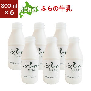 kCY mzቷE ӂ̋ 800ml 6{Zbg Y xǖ싍