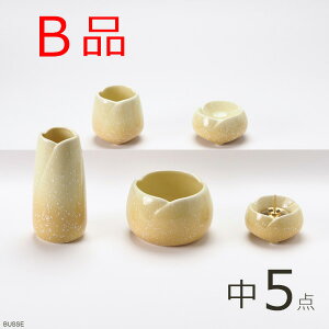 yBizy󂠂z  Zbg 炬 䂸 TCY 5_@_Zbg 퐻@Y