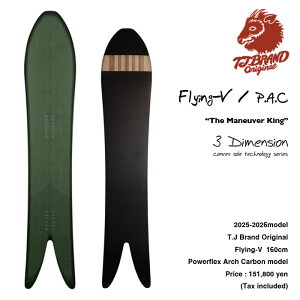 y25/26fzT.J Brand original Flying-V P.A.C (Power Arch Carbon model) / eB[EWFC uh tCCOuC