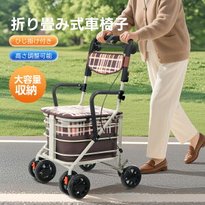 Vo[J[ VjAJ[ VbsOJ[  J[g lC   N Nz pi  艟 J[g VjA C[J[g  ܂肽 ܂ L