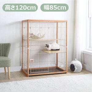 �y�S�iP5�{������20���`4H����I�z�y�l�C���i�ē��ׁz�L �P�[�W �L���b�g�P�[�W 2�i �ؐ��t���[�� �n�����b�N�t �L�X ��^ �L�Q�[�W ������ ������� �L���b�g�n�E�X �l�R �n�E�X ���i �����