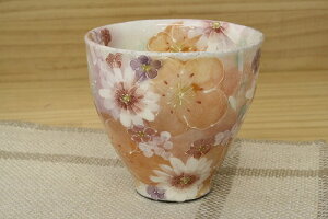 ygʋԁ@ہzˏ aH H    ` ԕ v[g 蕨