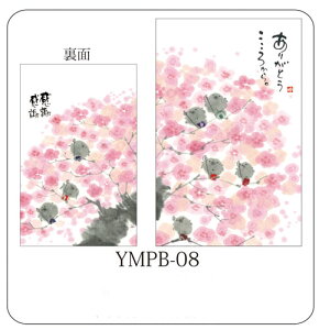 |`(5) YMPB-08@肪Ƃ납