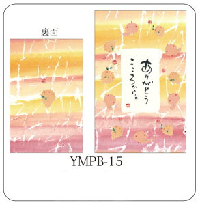 |`(5) YMPB-15@肪Ƃ납