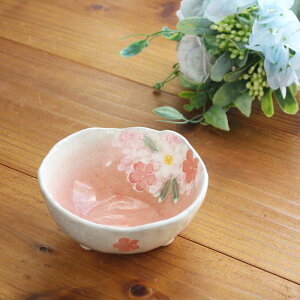 yH[ԁzʏԁ@攫igj@  fU[g X[{E ` ԕ t[ ˏ {