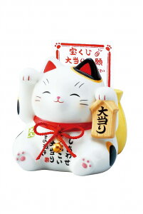 ʊG哖菵Liji󂭂꒙j 7331