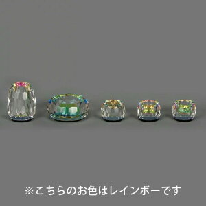  Zbg ~j _ Zbg NX^yNC[zN[ 5_Zbg 2.5  Zbg  ъ   킢 