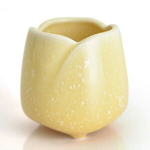 y炬 䂸 ijz p 킢  ԗ   pi F CG[ ŋzΉi