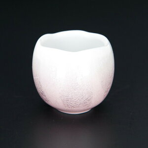 yyV1ʁzyJʂق̂ sN ijz p 킢  ԗ   pi sN  zCg