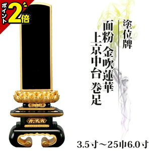 yȂP2{zyyVLO܁zʔv  hʔv ʕ @ ㋞  3.5`256.0y  _ʔv      vw  㕧 h