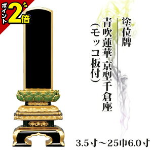 yP2{}\zʔv  hʔv ʕ @ ^qibRtj 3.5`256.0y  _ʔv       㕧 hʔv 