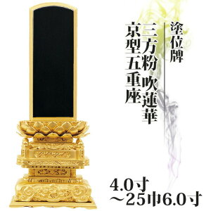 yyVLO܁zʔv  hʔv O @ ^܏d 4.0`256.0  _ʔv       hʔv _ RpNg ~j 