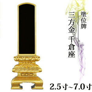 yyVLO܁zʔv  hʔv O q 2.5`8.0y  _ʔv       vw 㕧 hʔv _ RpNg ~jz