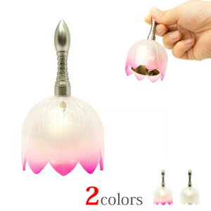 yyVLO܁z  ~j  킢 sN Vv RpNg  ŋz @ij sN