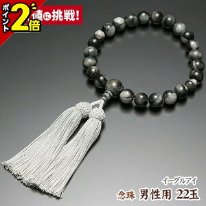 yP2{Ԍz O jp 22ʁyC[OAC [z[d][˔][][][22] [ O pi  Ou [   ジ Y  