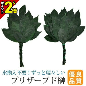 yP2{}\z uU[uh 2{Zbg _ vU[uh 1΁i2{ZbgjyIׂ3TCY ~jEʏETCYz  [_I _ c _kd  쎣 ]