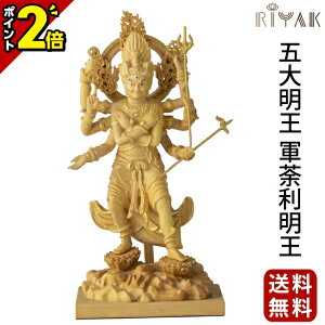 yȂ|Cg2{z RIYAK ܑ喾 R䶗 BASIC ؒ  ؍ 