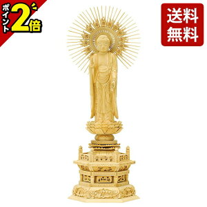 yP2{Z[z ѐA Zp ch  D 4.0`5.0