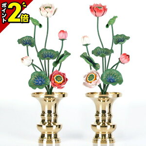 yP2{}\zyA~  29{ ʐF  ΁z( ԗ ʔ ) p  pi      O[