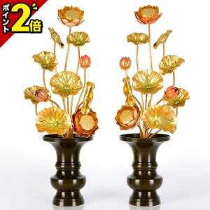 yP2{}\zyyVLO܁zyA~ 711{ WʐF ΁z(ԗʔ)  p  pi     S[h