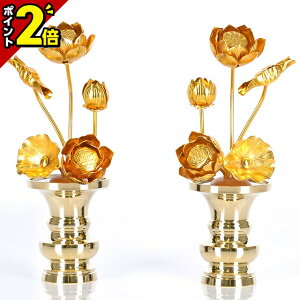 yP2{20zyA~ 65{ Fz(ԗʔ)  p  pi     S[h