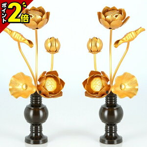 yP2{Z[zyA~  45{ iؕepjz(ԗʔ)  p  pi     S[h