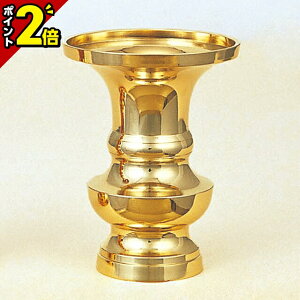 yP2{3AxZ[zynԗ 2.5 ݂i1{j2.5`5.5z  pi  킢 i