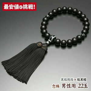  O jp 22ʁyfҍh d [z[˔][][][22] [ O pi  Ou [   ジ Y  