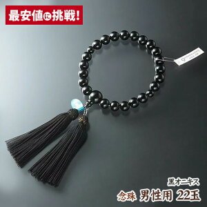  O jp 22ʁyIjLX [z[˔][d][][][22] [ O pi  Ou [  p[Xg[ ジ Y  