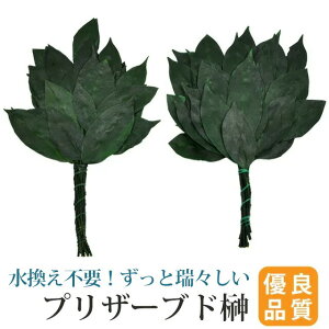  uU[uh 2{Zbg _ vU[uh 1΁i2{ZbgjyIׂ3TCY ~jEʏETCYz  [_I _ c _kd  쎣 ]