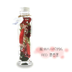  n[oE bh ^   n[oE vU[uht[ hCt[ ͂Ȃ ԑ  җ j  ~j @p   ފ r  