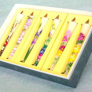  [\N 낤 Lhya낤zG낤 Ԃ̎i`j 3 6{ { 茳{ 킢