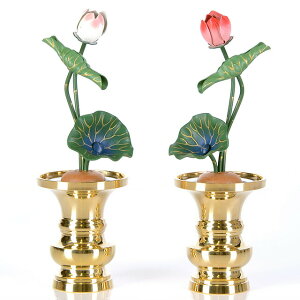 yA~  33{ ʐF ΁z( ԗ ʔ ) p  pi      O[