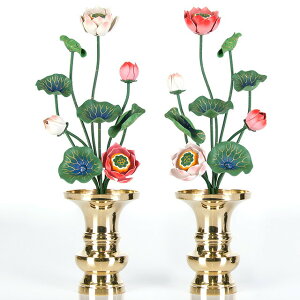 yyVLO܁zyA~ 69{ ʐF ΁z        pi  킢 i