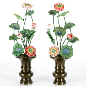 yA~  811{ ʐF ΁z( ԗ ʔ ) p  pi      O[