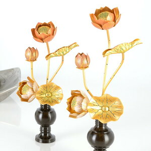 yA~ 35{ WʐF ΁iؕepjz(ԗʔ)  p  pi     S[h